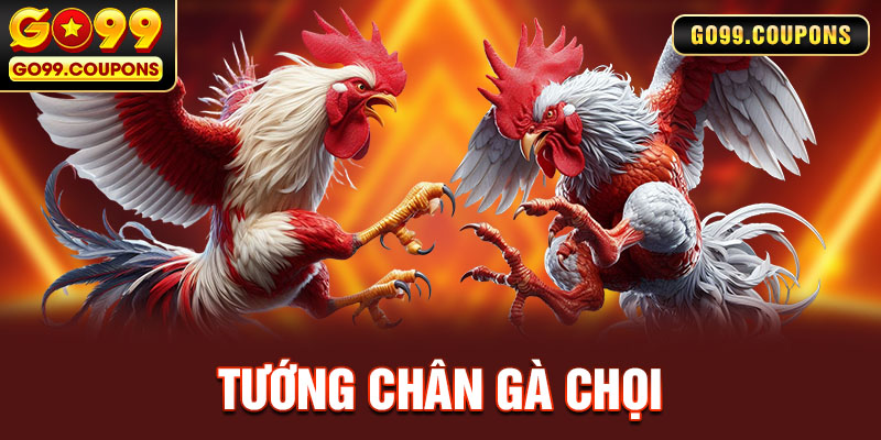 Xem Tướng Chân Gà Chọi Chuẩn Nhất Năm 2024 Tại Go99